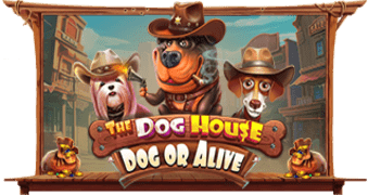 Слот The Dog House Dog or Alive от провайдера Casino Play